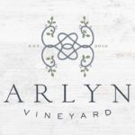 Arlyn Logo • 237 Marketing + Web